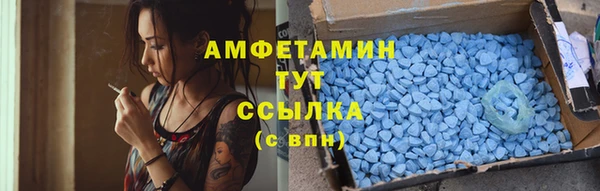 гашик Кулебаки