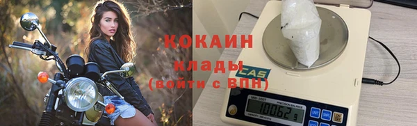 гашик Кулебаки