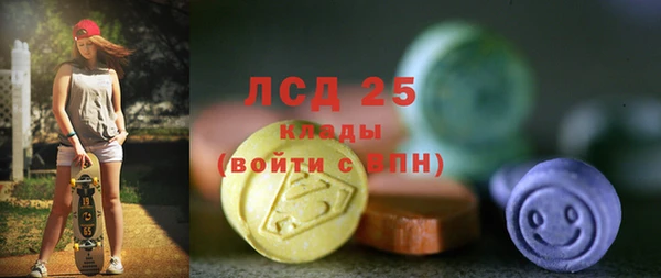 гашик Кулебаки