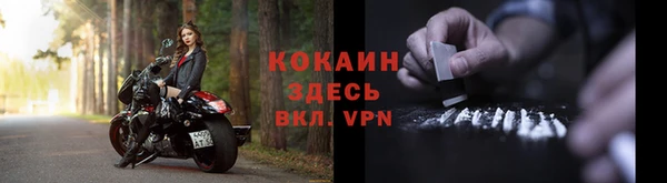 гашик Кулебаки