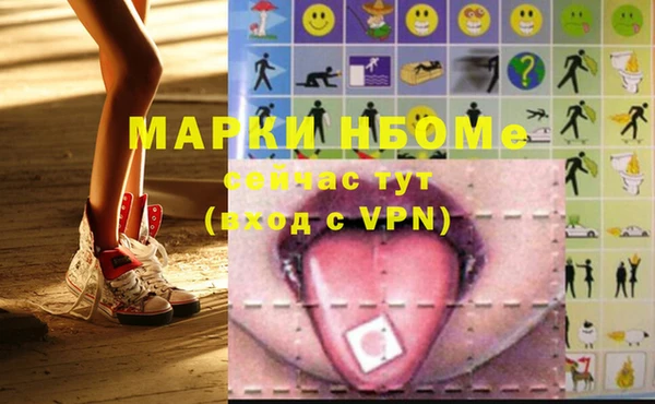 гашик Кулебаки