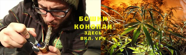 гашик Кулебаки