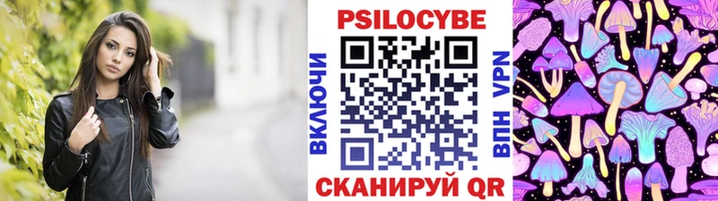 Купить  Татарск  Псилоцибиновые грибы Cubensis 
