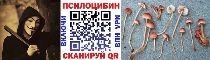 Псилоцибиновые грибы Cubensis Татарск